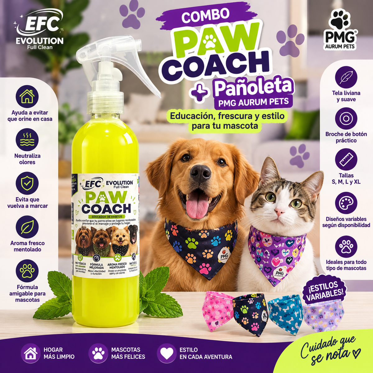PAW COACH - Estilo y educación Mascotas