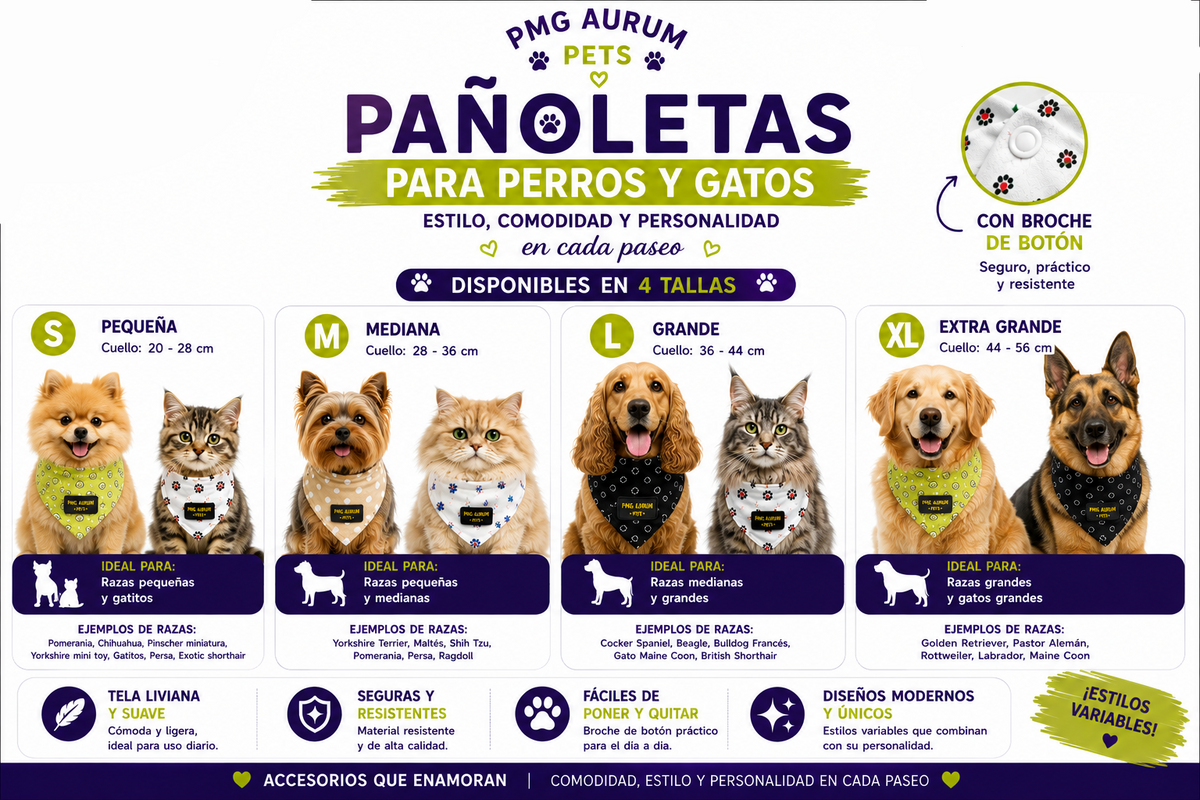 PAW COACH - Estilo y educación Mascotas